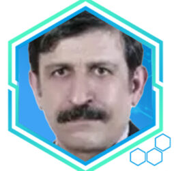 Hassan Nikkhoo